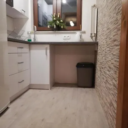 Pokoje Goscinne U Babuni Bukowina Tatrzanska Exterior photo