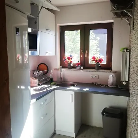 Pokoje Goscinne U Babuni Bukowina Tatrzanska Exterior photo